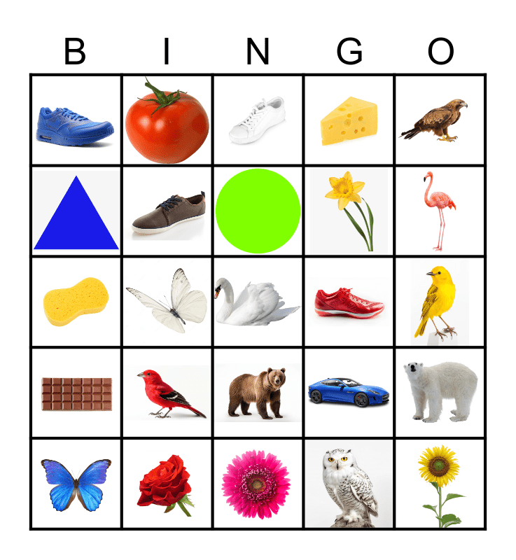 a/an some every all Bingo Card