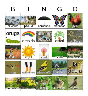 la primavera Bingo Card
