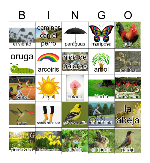 la primavera Bingo Card