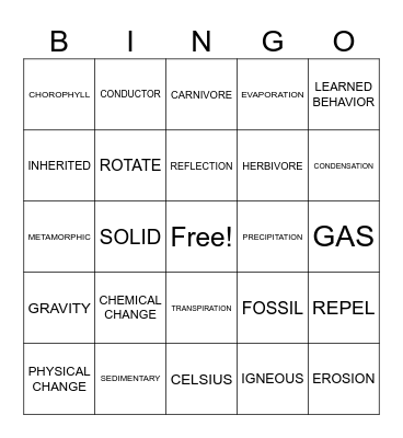 Vocabulary Bingo Card