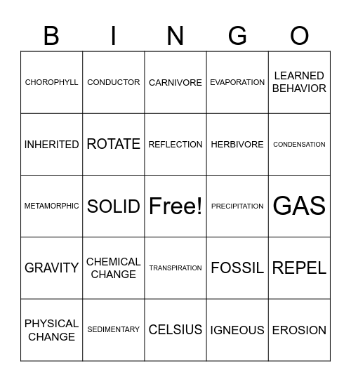 Vocabulary Bingo Card