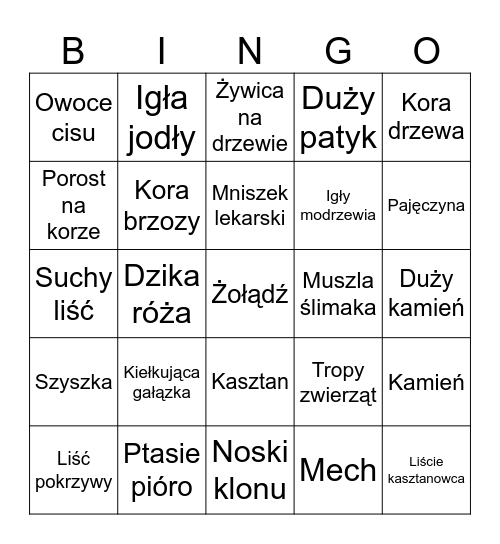 PRZYRODA W GÓRACH Bingo Card