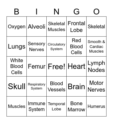 Human Body (Pt 1) Bingo Card