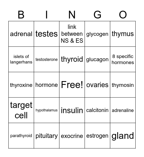Endocrine System Bingo Card