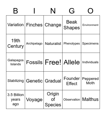 Evolution and Natural Selection Bingo Card