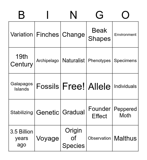 Evolution and Natural Selection Bingo Card