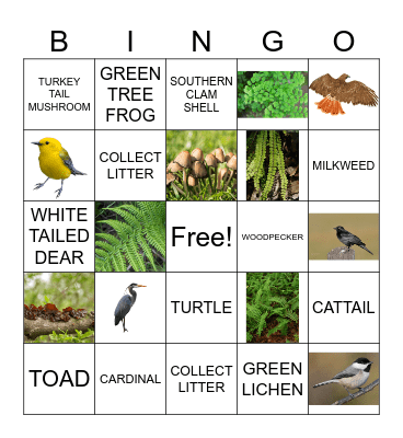 SC NATURE WALK Bingo Card