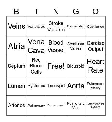 Cardiovascular System Bingo Card