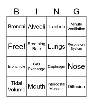 Respiratory System Bingo Card