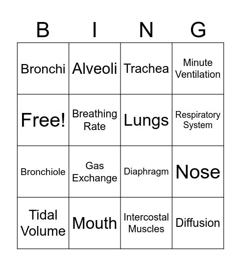 Respiratory System Bingo Card