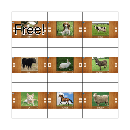 సాధు జంతువులు Bingo Card