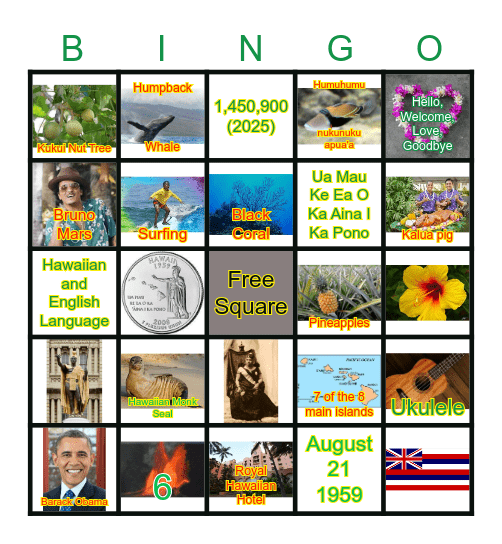 Hawaii Bingo Card