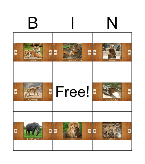 కృర జంతువులు Bingo Card