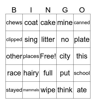 2nd Grade, Hamsters,  Lesson 3 Bingo Card