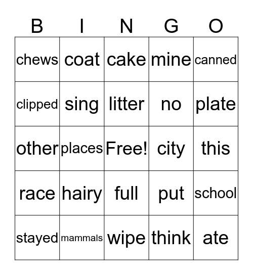 2nd Grade, Hamsters,  Lesson 3 Bingo Card