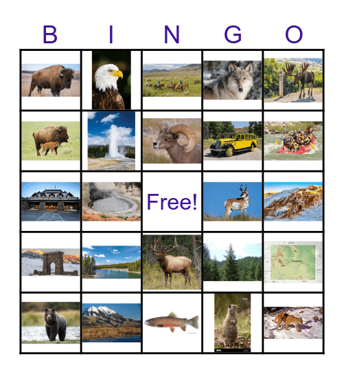 Yellowstone National Park Bingo Card