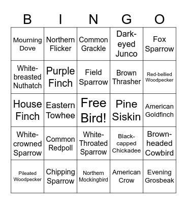 🐦 BIRD BUDDIES 🐦 Bingo Card