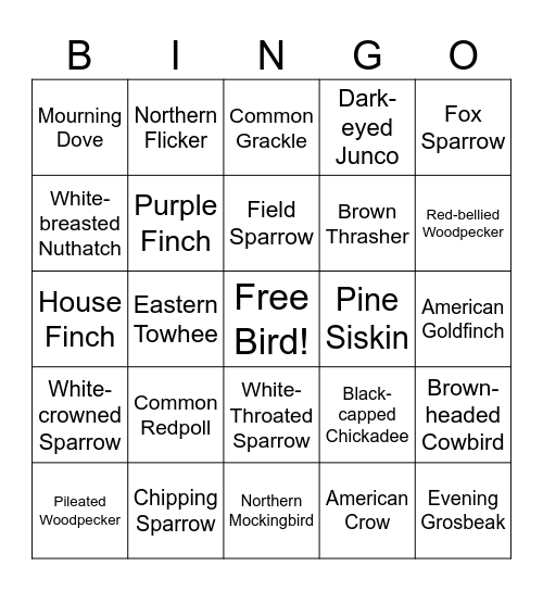 🐦 BIRD BUDDIES 🐦 Bingo Card