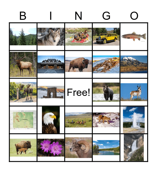 Yellowstone National Park Bingo Card
