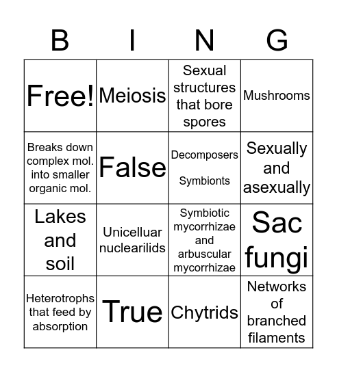 Fungi Bingo  Bingo Card