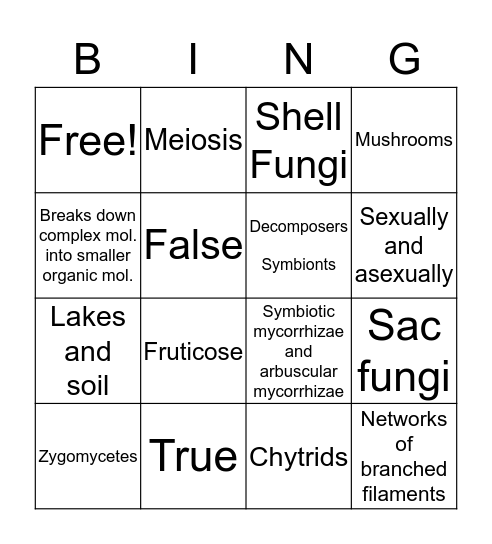 Fungi Bingo  Bingo Card