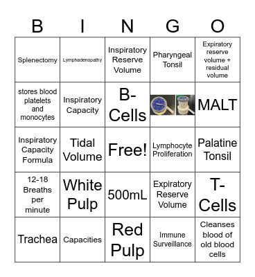 Lymphatic, Immune, Lab Bingo Card