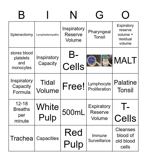 Lymphatic, Immune, Lab Bingo Card