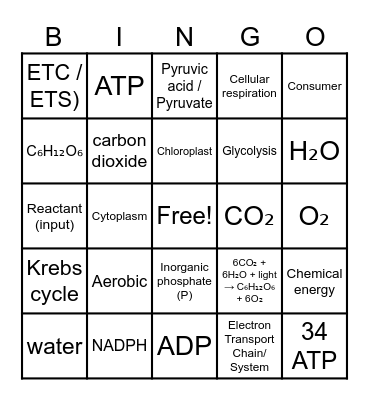 Bioenergy Bingo Card