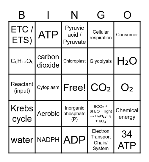 Bioenergy Bingo Card