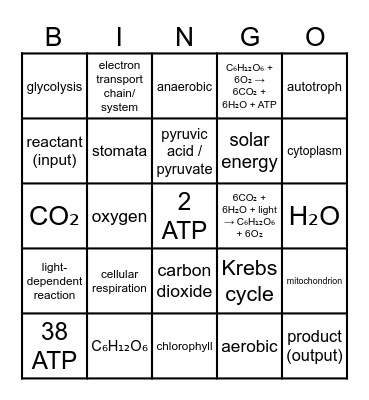 Bioenergy Bingo Card