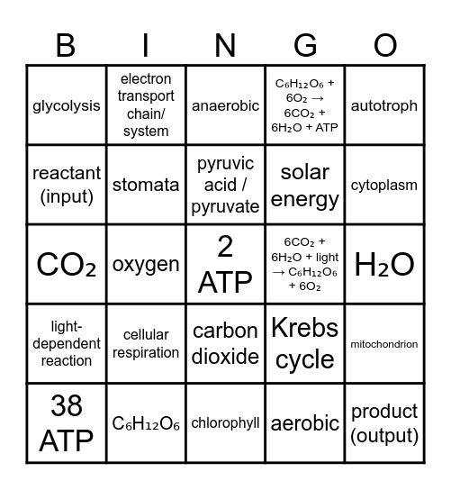 Bioenergy Bingo Card