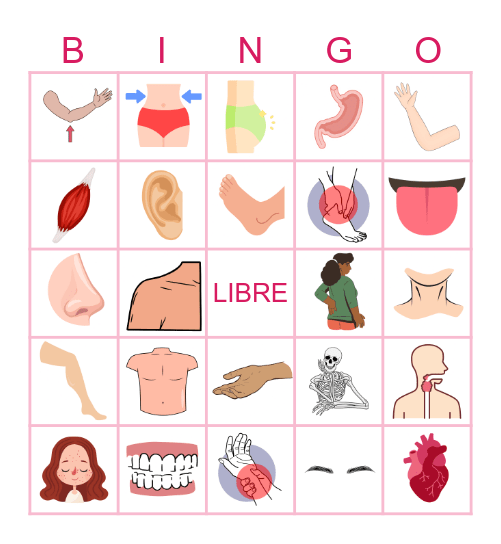 las partes del cuerpo Bingo Card