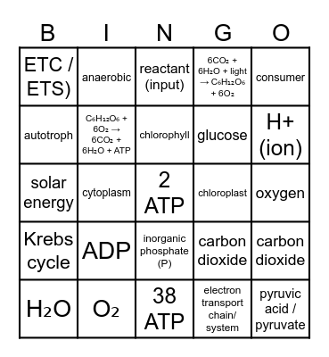Bioenergy Bingo Card