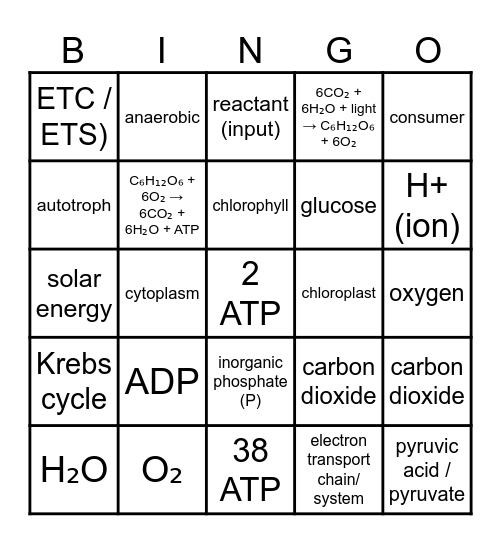 Bioenergy Bingo Card