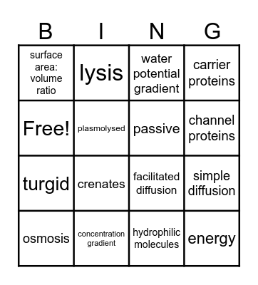 Transport in Cells Bingo Card