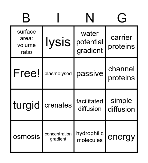 Transport in Cells Bingo Card