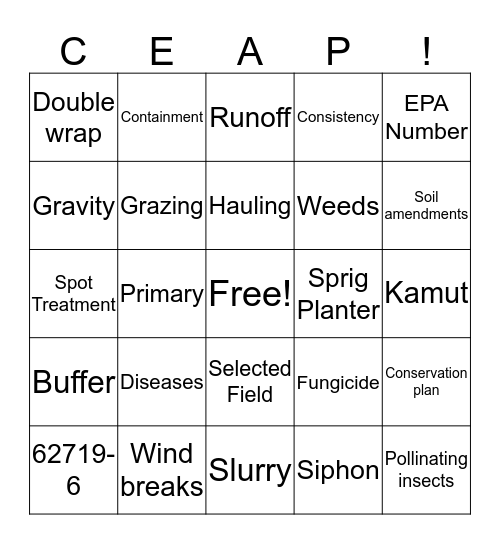 CEAP! Bingo Card