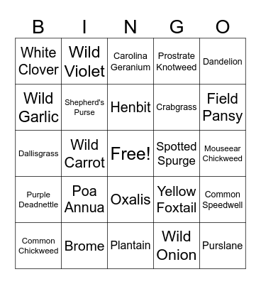 Weed Bingo Card