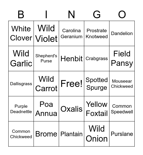 Weed Bingo Card