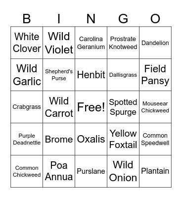 Weed Bingo Card