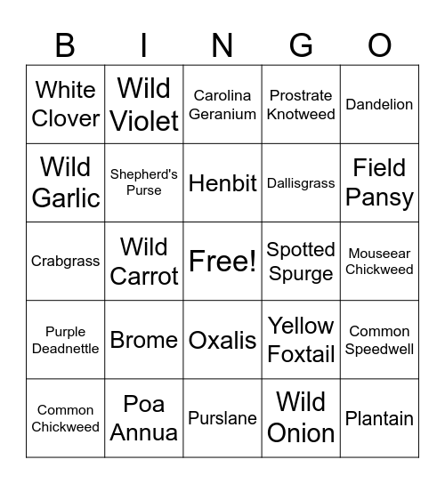 Weed Bingo Card