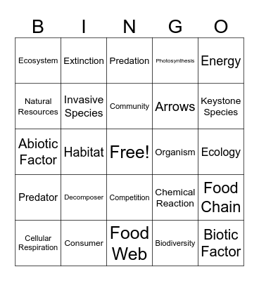 Unit 3 Vocab Review!! Bingo Card