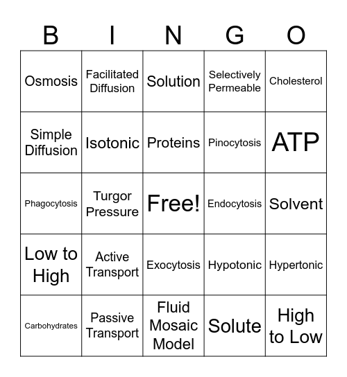 Cell Transport Bingo Card