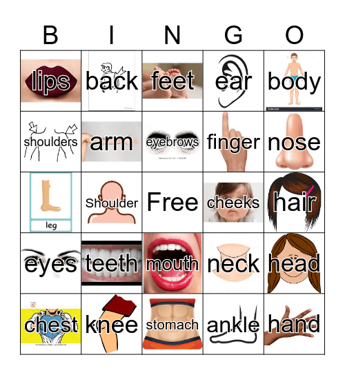 Partes Del Cuerpo Bingo Card