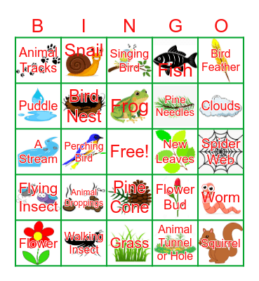 Signs of Spring Nature Bingo! Bingo Card