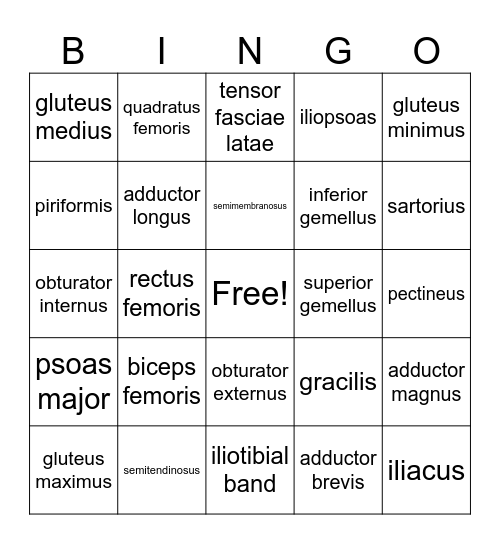 Muscles of the Hip Bingo Card