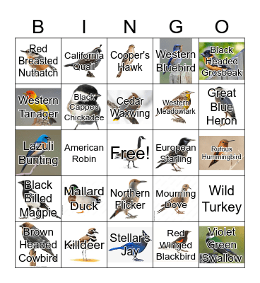 Bird Bingo Card