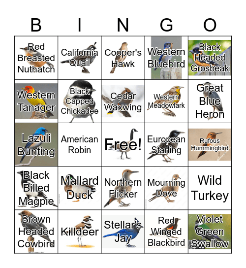 Bird Bingo Card