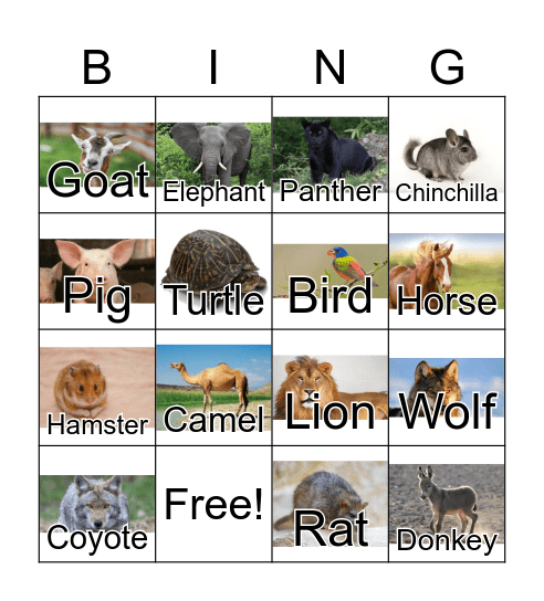 Animals Bingo Card