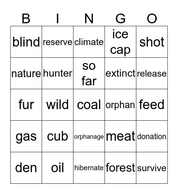 Environment  Bingo Card